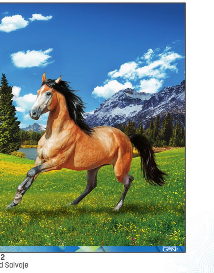 Caballo en campo, fotografía original del catálogo LEN